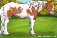 Horse Color:White Spotted Silver Bay Tobiano Frame Rabicano 