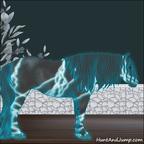 Horse Color:Thunderstruck Black Rabicano