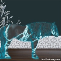 Horse Color:Thunderstruck Black Rabicano