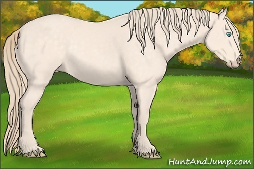 Horse Color:Perlino Rabicano 