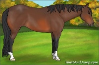 Horse Color:Brown 