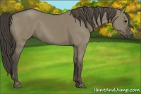 Horse Color:Smoky Grullo 