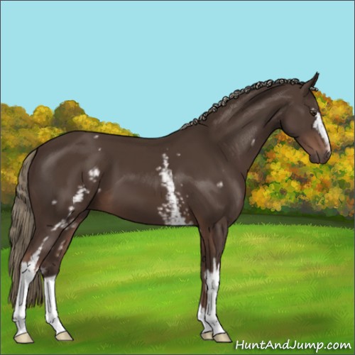 Horse Color:White Spotted Liver Chestnut Mushroom 
