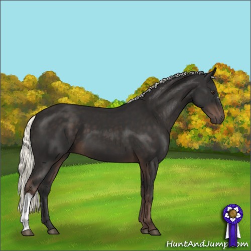 Horse Color:Liver Chestnut Mushroom 
