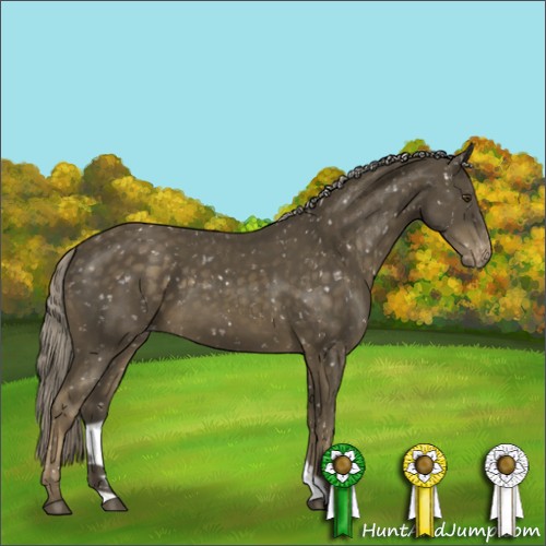 Horse Color:Chocolate Palomino Mushroom Appaloosa 