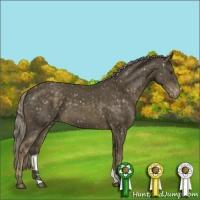Horse Color:Chocolate Palomino Mushroom Appaloosa 