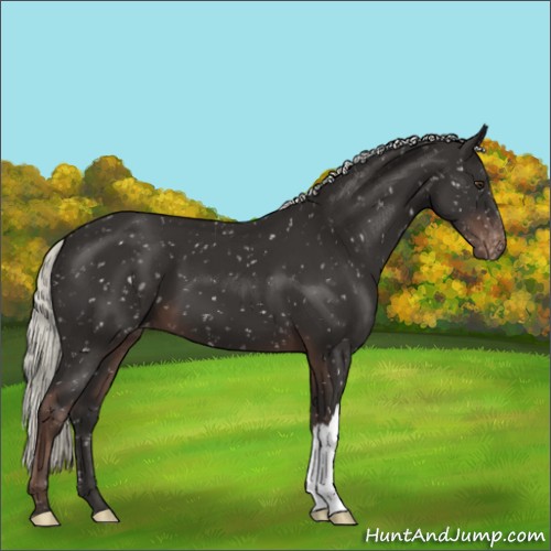 Horse Color:Liver Chestnut Mushroom Snowflake Varnish