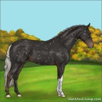 Horse Color:Liver Chestnut Mushroom Snowflake Varnish