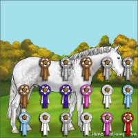 Horse Color:Liver Chestnut Mushroom Splash Appaloosa  and Liver Chestnut Mushroom Appaloosa 