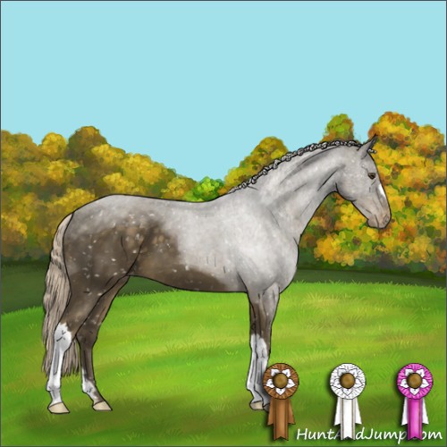 Horse Color:Chocolate Palomino Mushroom Appaloosa