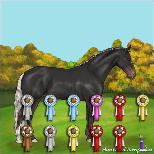 Horse Color:Liver Chestnut Mushroom Appaloosa