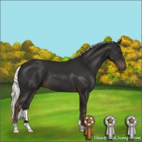 Horse Color:Liver Chestnut Mushroom 