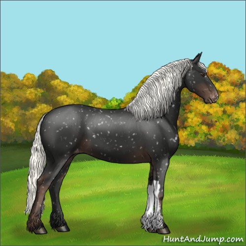 Horse Color:Liver Chestnut Mushroom Snowflake Varnish