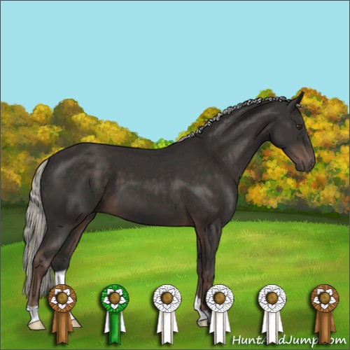 Horse Color:Liver Chestnut Mushroom