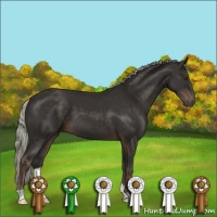 Horse Color:Liver Chestnut Mushroom 