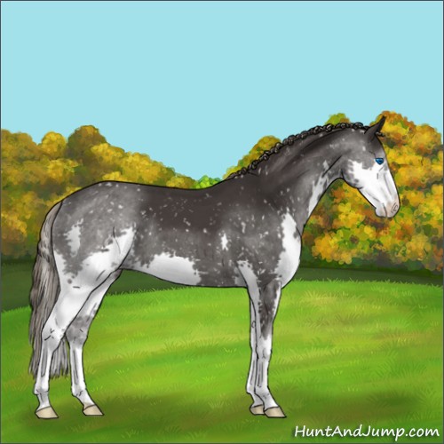 Horse Color:Smoky Black Mushroom Splash Snowflake Varnish 