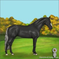 Horse Color:Liver Chestnut Mushroom 