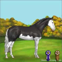 Horse Color:Liver Chestnut Mushroom Splash 