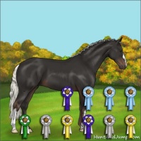 Horse Color:Liver Chestnut Mushroom 