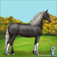 Horse Color:Liver Chestnut Mushroom 