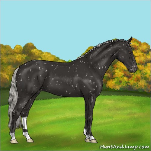 Horse Color:Liver Chestnut Mushroom Snowflake Varnish