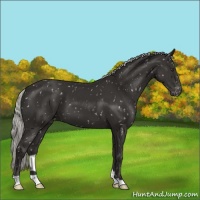 Horse Color:Liver Chestnut Mushroom Snowflake Varnish