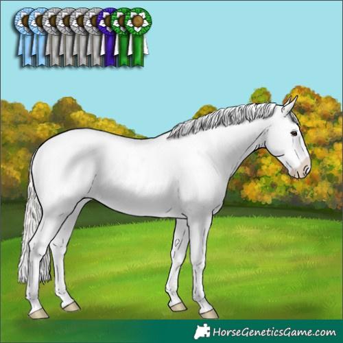 Horse Color:Liver Chestnut Mushroom Snowflake Varnish