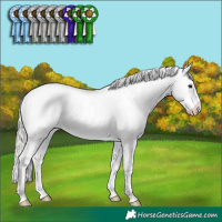 Horse Color:Liver Chestnut Mushroom Snowflake Varnish 