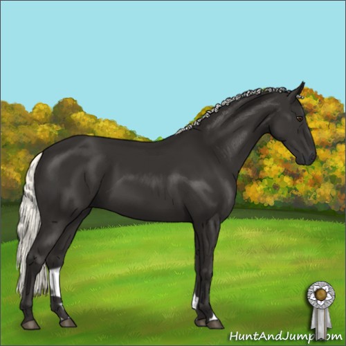 Horse Color:Liver Chestnut Mushroom 