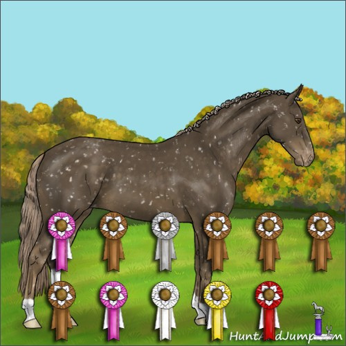 Horse Color:Chocolate Palomino Mushroom Appaloosa 