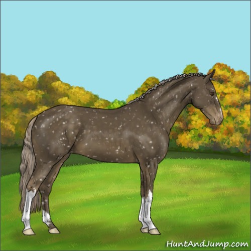 Horse Color:Chocolate Palomino Mushroom Snowflake Varnish