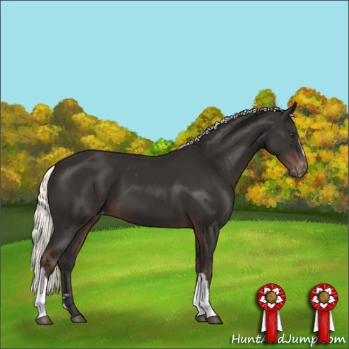 Horse Color:Liver Chestnut Mushroom Varnish 