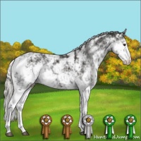 Horse Color:Liver Chestnut Mushroom Sabino Appaloosa 
