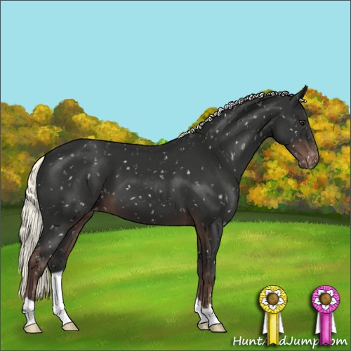 Horse Color:Liver Chestnut Mushroom Snowflake Varnish