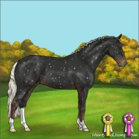 Horse Color:Liver Chestnut Mushroom Snowflake Varnish