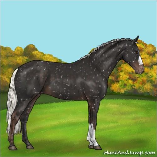 Horse Color:Liver Chestnut Mushroom Snowflake Varnish