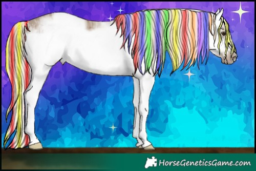Horse Color:Painted White Spotted Chocolate Palomino Ice Sabino Splash Frame Rabicano