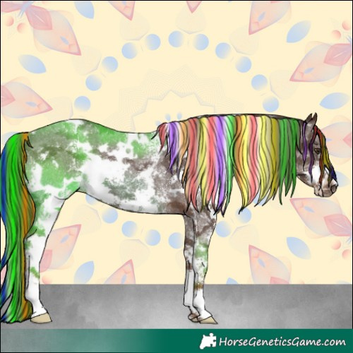 Horse Color:Painted White Spotted Liver Chestnut Sabino Rabicano 