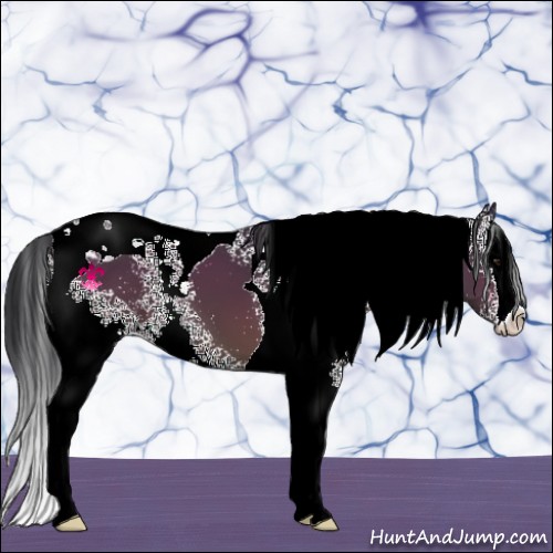 Horse Color:White Spotted Brown Splash Tobiano 