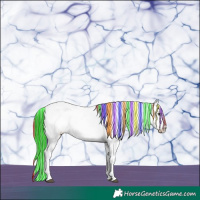 Horse Color:Painted White Spotted Liver Chestnut Near Leopard 