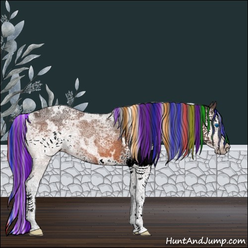 Horse Color:Painted White Spotted Bay Ice Splash Rabicano 
