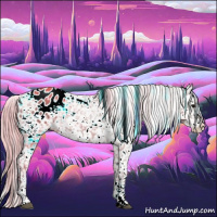 Horse Color:White Spotted Silver Grullo Appaloosa