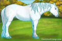 Horse Color:Gray Thunderstruck Grullo Ice Splash 