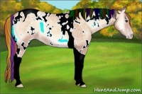 Horse Color:Painted White Spotted Gold Champagne Ice Onyx Tobiano Rabicano 