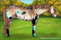 Horse Color:Painted White Spotted Bay Onyx Rabicano 