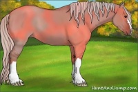 Horse Color:Chocolate Silver Grullo 