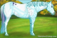 Horse Color:Thunderstruck White Spotted Grullo Rabicano 