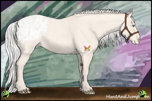 Horse Color:Silver Perlino Roan Appaloosa