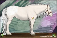 Horse Color:Silver Perlino Roan Appaloosa 