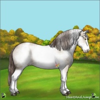 Horse Color:White Spotted Liver Red Dun Rabicano 